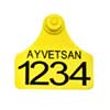 icon-img